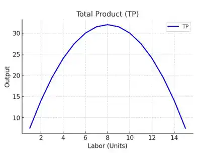 চিত্র মোট উৎপাদন (TP)