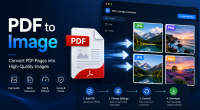 PDF to Image Converter